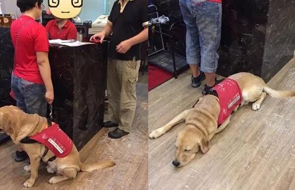 女子帶導盲犬進海底撈兩度被拒