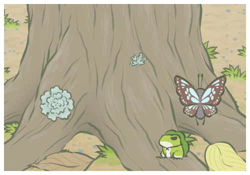 銅錢草的養(yǎng)殖方法和注意事項(xiàng)