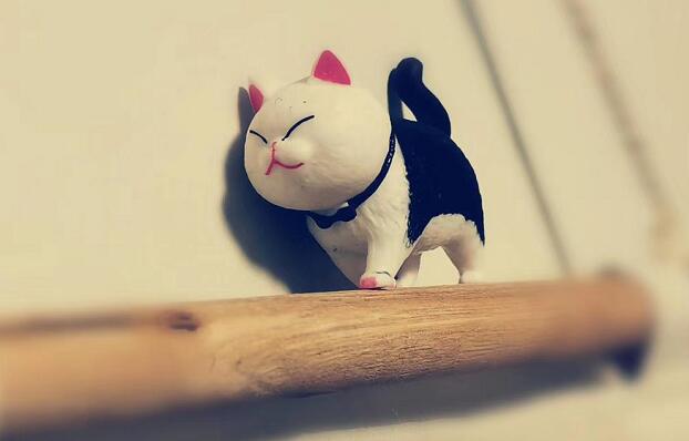 特朗普稱(chēng)美國(guó)將分區(qū)域解封