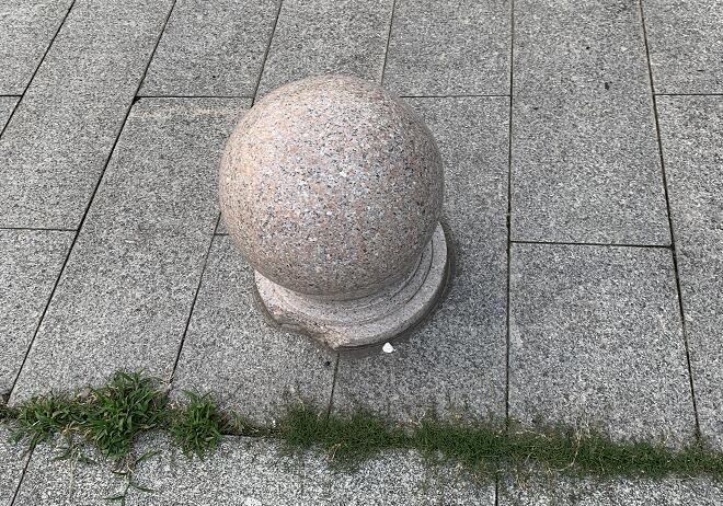 男人可以吃鵝蛋嗎？