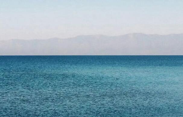 渡輪乘客擔心感染縱身跳海