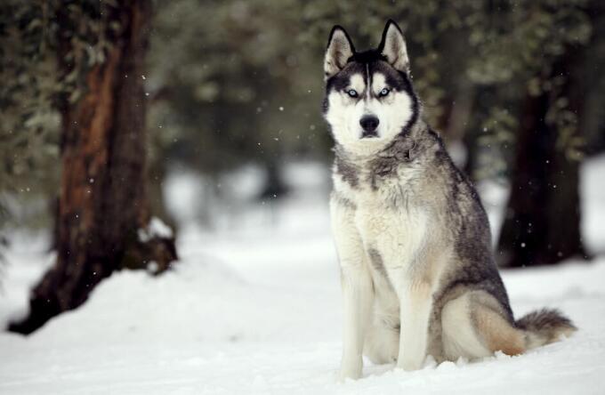江蘇一教師讓女學生喊老公