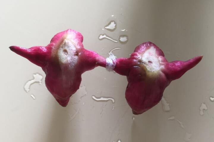 張玉環與前妻再見面緊握雙手