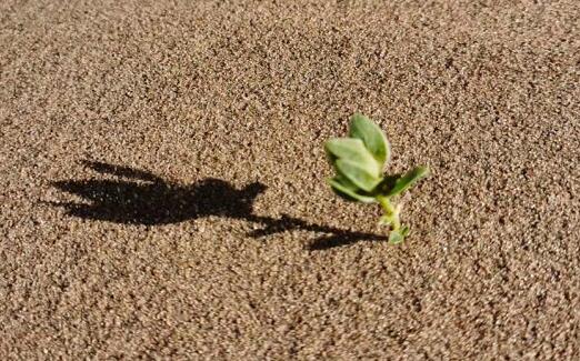 高德回應導航致景區擁堵