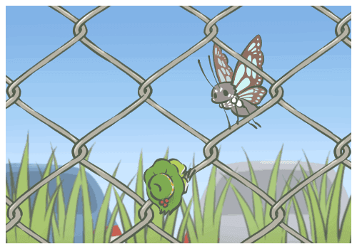 車(chē)臣領(lǐng)導(dǎo)人被授上將軍銜