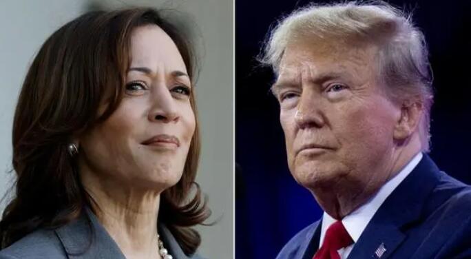 美國副總統哈里斯后來居上