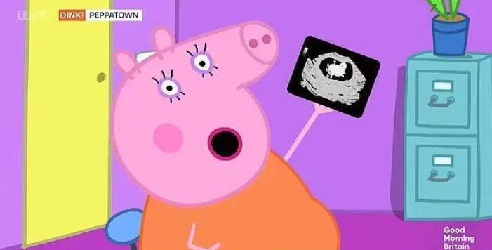 小豬佩奇豬媽媽宣布懷三胎