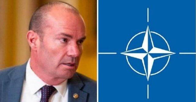 馬斯克贊成美國(guó)退出聯(lián)合國(guó)和北約