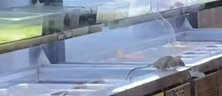 楊國(guó)福麻辣燙老鼠事件后續(xù)