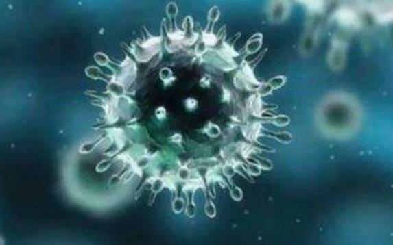 鼻病毒陽性率上升